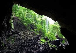 Image result for Garden of Eden in Deer Cave