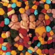 Image result for Anne Geddes Baby Photos