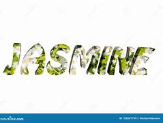 Image result for Jasmine Word