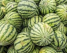 Image result for Yellow Meated Watermelon