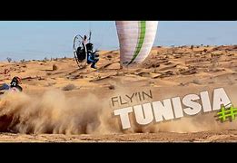 Image result for Flitox Tunisia