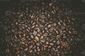 Image result for Arabica Coffee Beans Top View