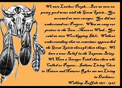 Image result for Buffalo Sayings