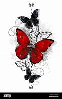 Image result for Red and Black Butterfly Drawings