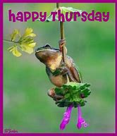 Image result for Frog Happy Weekend