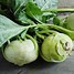 Image result for Kohlrabi Tastes Like