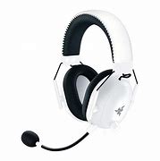 Image result for Shark with Headphones