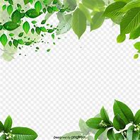 Image result for Decorative Green Borders