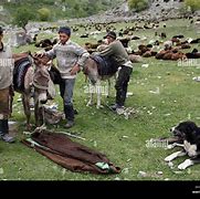 Image result for Yaghnobi People Faces