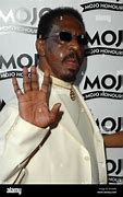 Image result for Ike Turner Grave