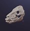 Image result for Skull Mask STL