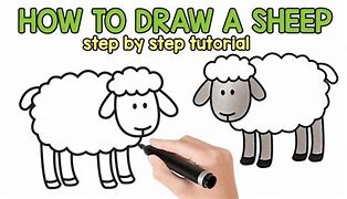 Image result for How to Draw a Lamb