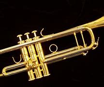 Image result for Trumpet Music Instrument