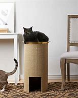 Image result for Cat Scratching Post Material