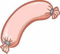 Image result for Sausage Animated Drawing