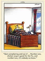 Image result for Far Side Chicken Soup Cartoon