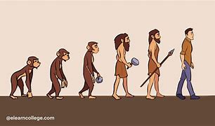 Image result for Anthropology Human Evolution