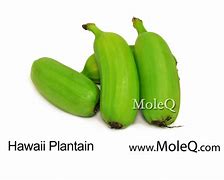 Image result for Island Queen Plantain