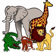 Image result for ABC Zoo Clip Art