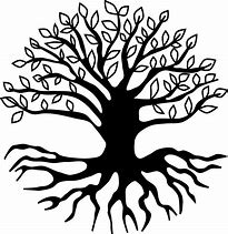 Image result for Black and White Tree with Roots