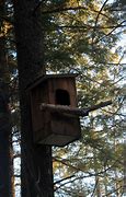 Image result for Barred Owl Nest Box