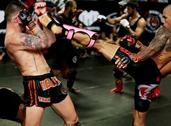 Image result for Tiger Muay Thai Swinton