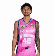 Image result for Dan Fotu FIBA