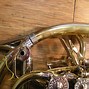 Image result for French Horn Bell