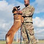 Image result for United States Military Police K9 Dogs