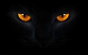 Image result for Cat Eyes Wallpaper