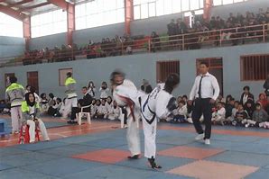 Image result for ITF Taekwon-Do