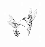 Image result for 2 Birds Flying Drawing