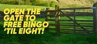 Image result for Flash Bingo Gala