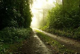 Image result for Rain Scenery Wallpaper