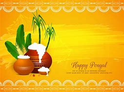 Image result for Pongal Background