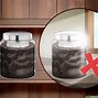 Image result for Real Ant Farm