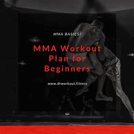 Image result for MMA Workout Routine