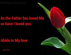 Image result for John 15 Abide in My Love