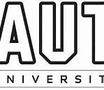 Image result for Car Aut Logo