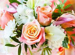 Image result for Bouquet 4K