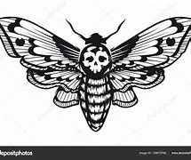 Image result for Death Head Moth Shelf