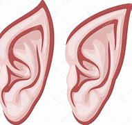 Image result for Elf Ears Cartoon