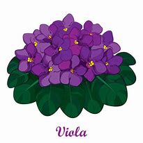 Image result for African Violet Flower Clip Art