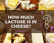 Image result for Cheese Lactose Chart