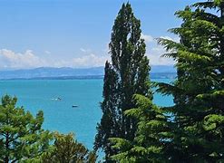 Image result for Lake Constance Mainau