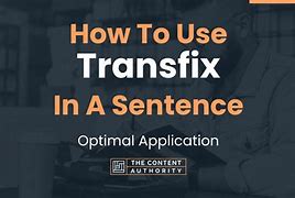 Image result for Transfix Examples