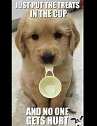 Image result for Dog Memes so Funny