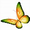 Image result for Yellow Butterfly Cartoon Clip Art