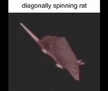 Image result for Horizontally Spinning Rat