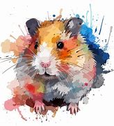 Image result for Perangkap Hamster